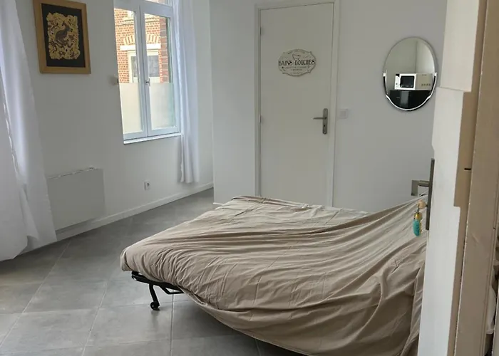 Cosy In Hellemmes 27 Rue Gustave Engrand Lilla